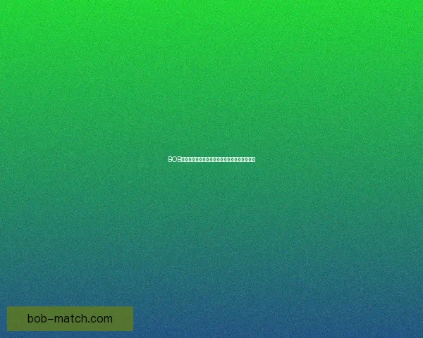 BOB体育平台全面解析最新赛事动态与精彩投注攻略