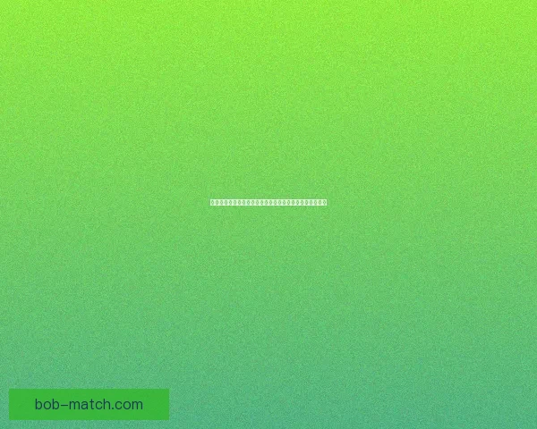 世界杯竞猜专家深度解析赛程走势与热门球队胜负预测指南